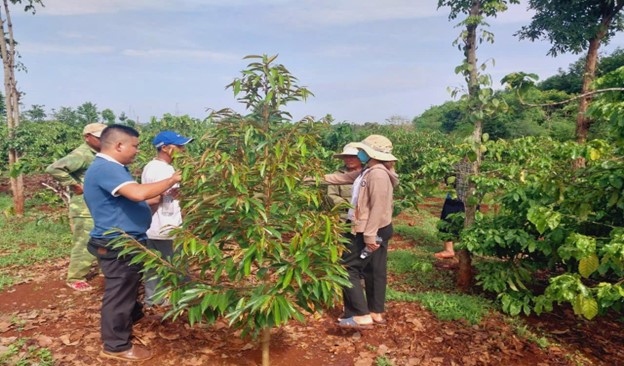 Hội Nông dân xã Cuôr Đăng phát huy hiệu quả nguồn vốn vay ngân hàng chính sách xã hội