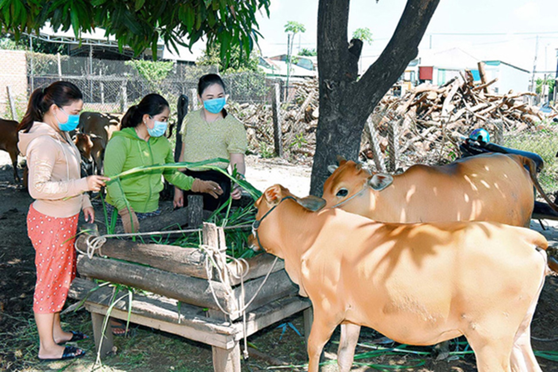 “Tiếp sức” cho đồng bào DTTS vươn lên thoát nghèo